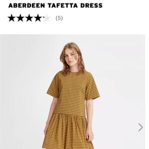 NWOT Levi’s Aberdeen Tafetta Dress
